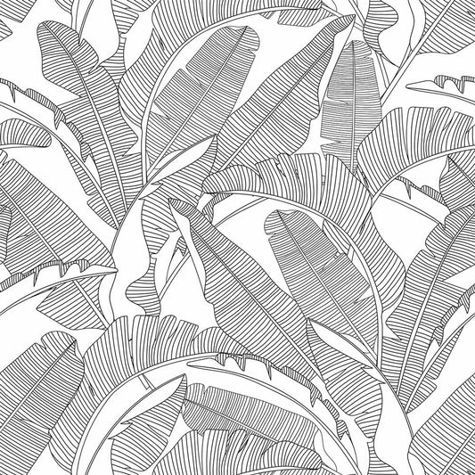 Dekornik Dekornik Behang Classic "Big Palm Leaves Black & White" - Decomusy