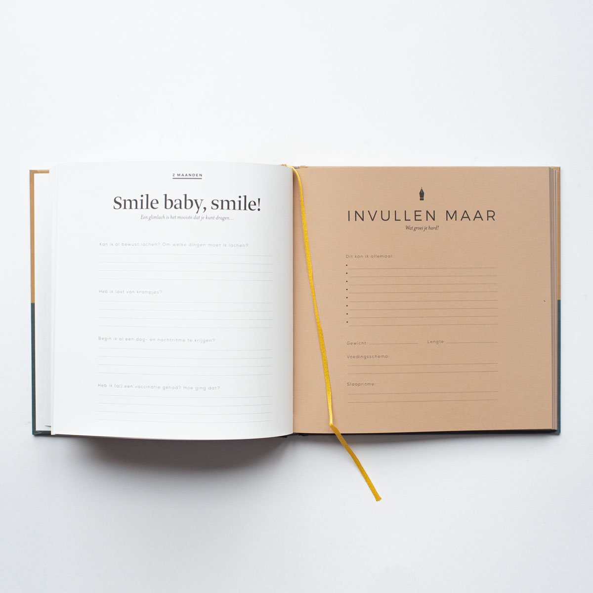 Leukigheidjes Eerste jaar invulboek - jongen - Decomusy