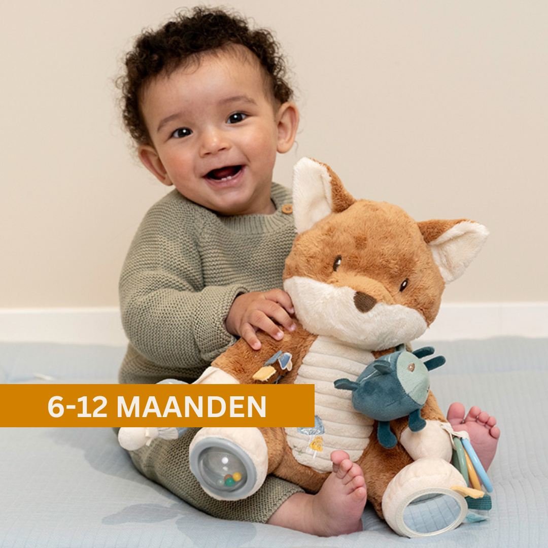 Baby 6-12 maanden