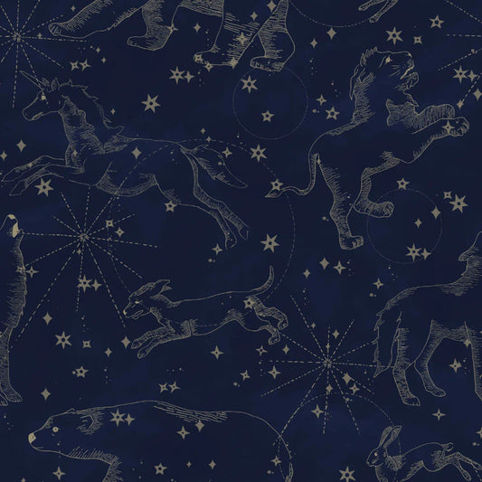 Dekornik Vliesbehang - Constellations dark