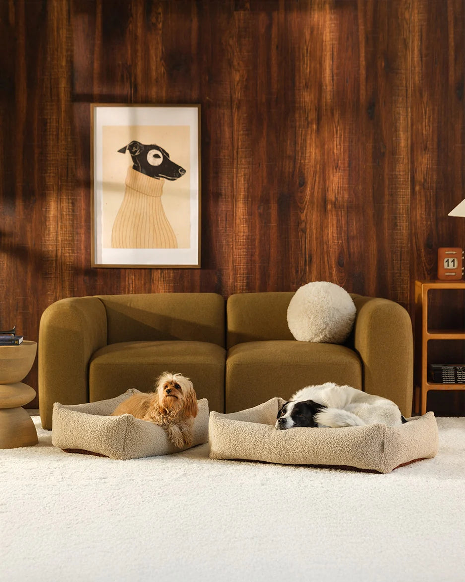 Wigiwama Pets Huisdierbed Biscuit Pet Snuggle Bed M