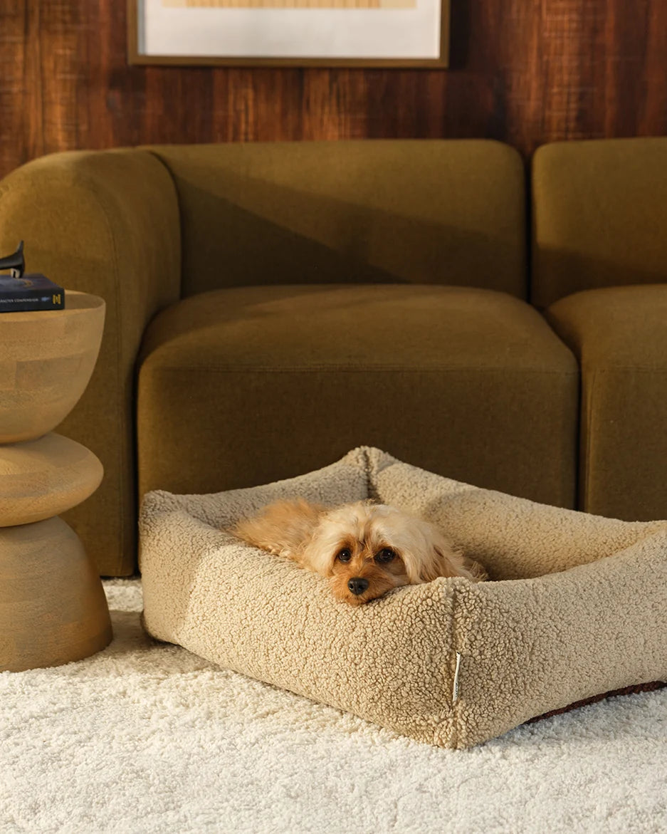 Wigiwama Pets Huisdierbed Biscuit Pet Snuggle Bed M
