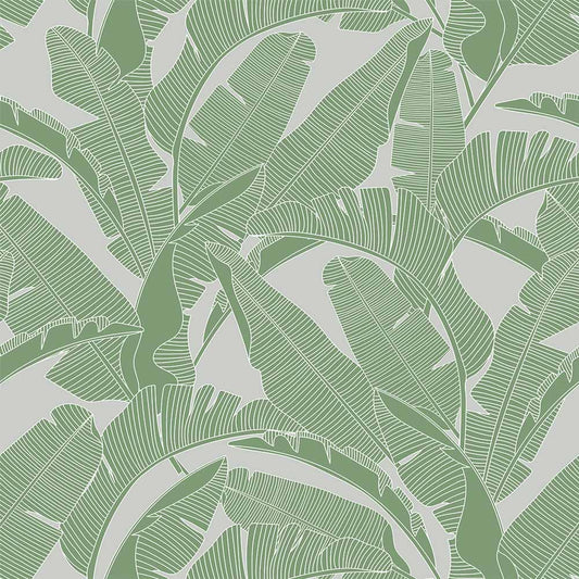 Dekornik Dekornik Behang Classic "Big Palm Leaves Green Gray" - Decomusy