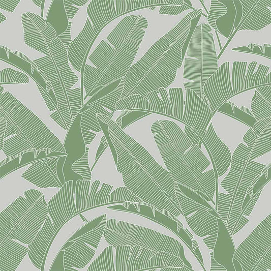 Dekornik Dekornik Behang Classic "Big Palm Leaves Green Gray" - Decomusy