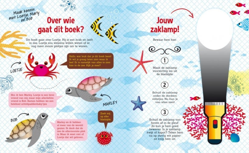 Lantaarn Zaklampboek - Speuren in het water - Decomusy